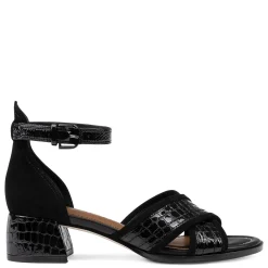 Online Donald Pliner AVAI Black
