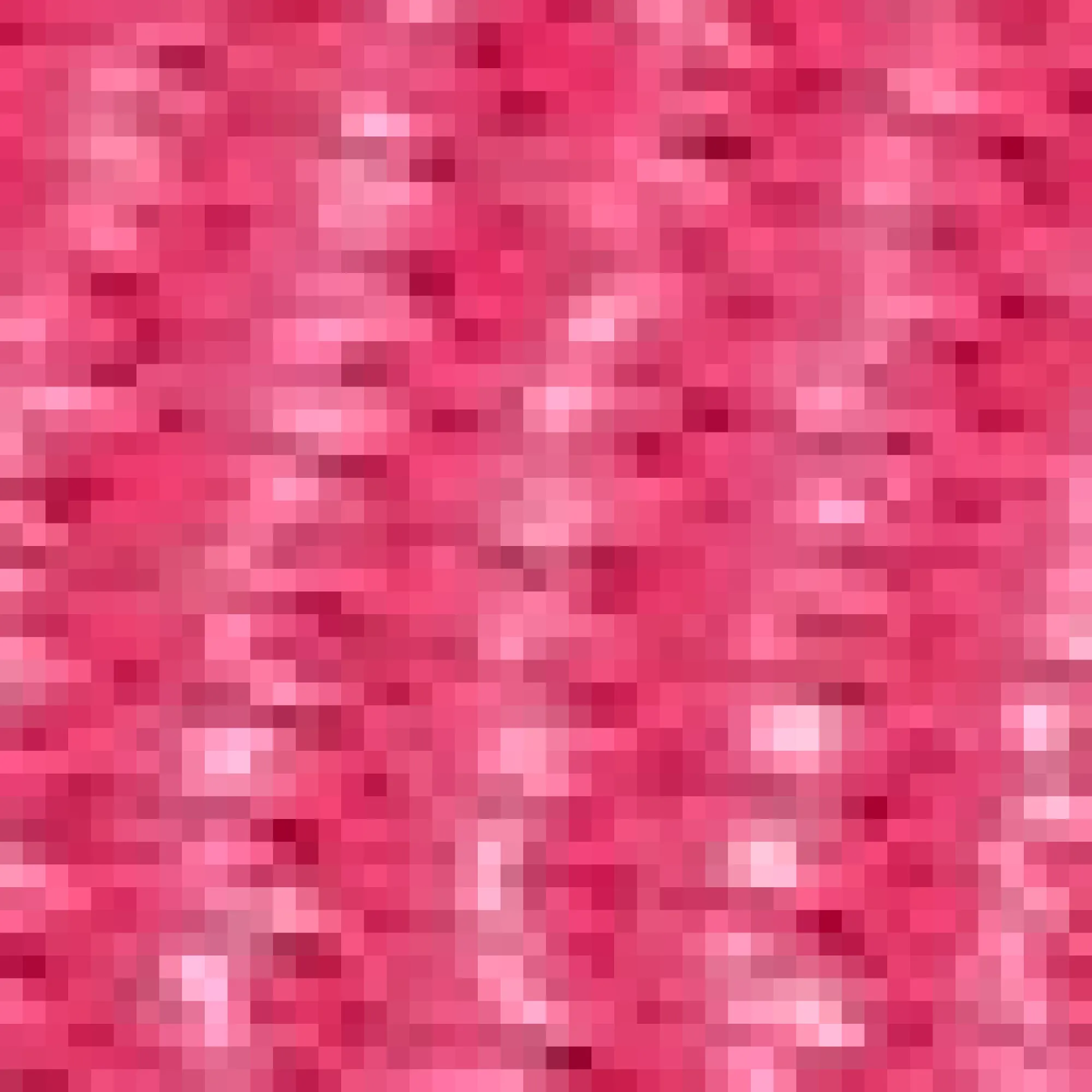 Best Donald Pliner RAYA Magenta