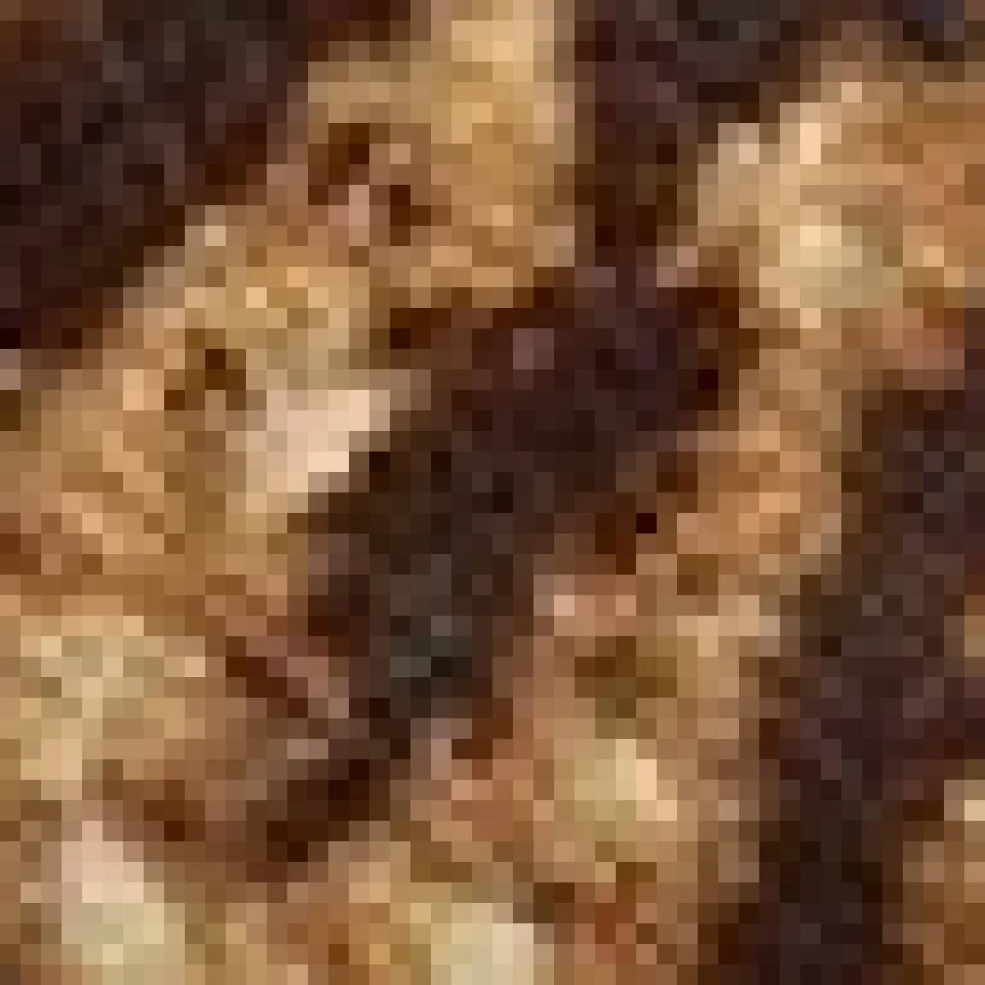 Hot Donald Pliner REENA Biscotti